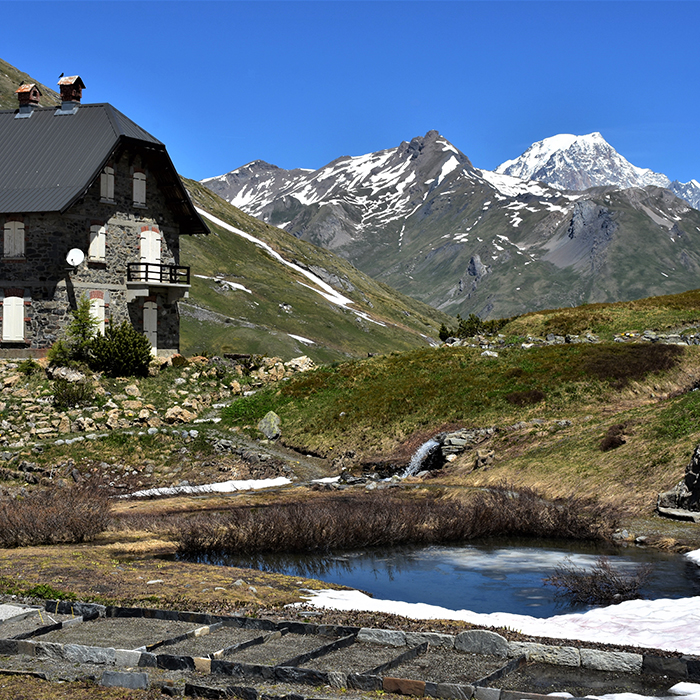 jardin alpin de la chanousia et vue sur le mont blanc