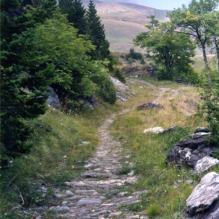 voie romaine au col du petit saint bernard